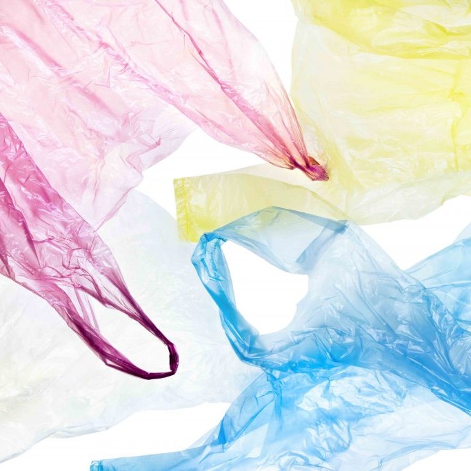 Are plastic bags really only disposable?